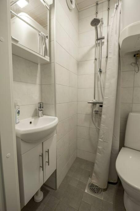 A Lovely Apartment Near Railway Station And Arena. Tampere Extérieur photo